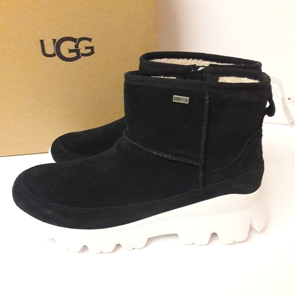 palomar sneaker ugg